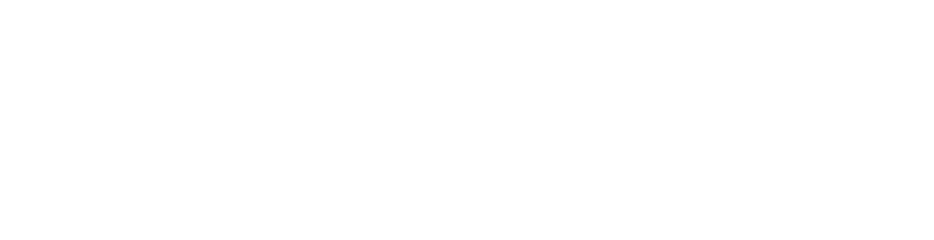 Nation Logo